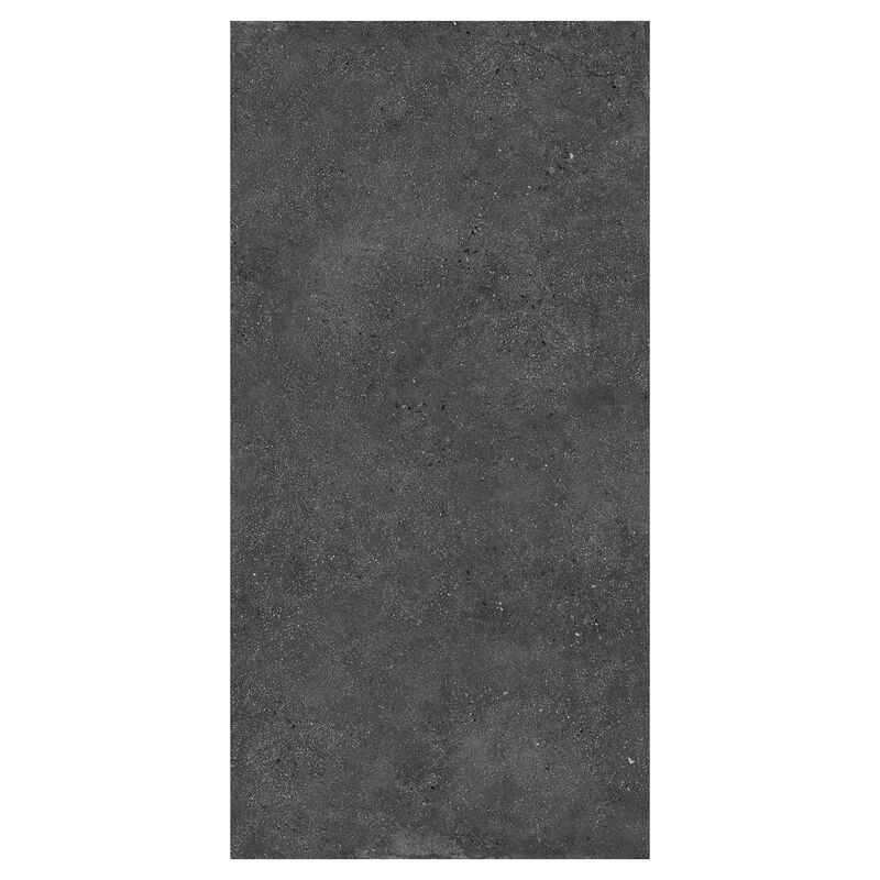 PORCELANATO ESMALTADO ORBIT GRAFITO MATE 60X120 CM