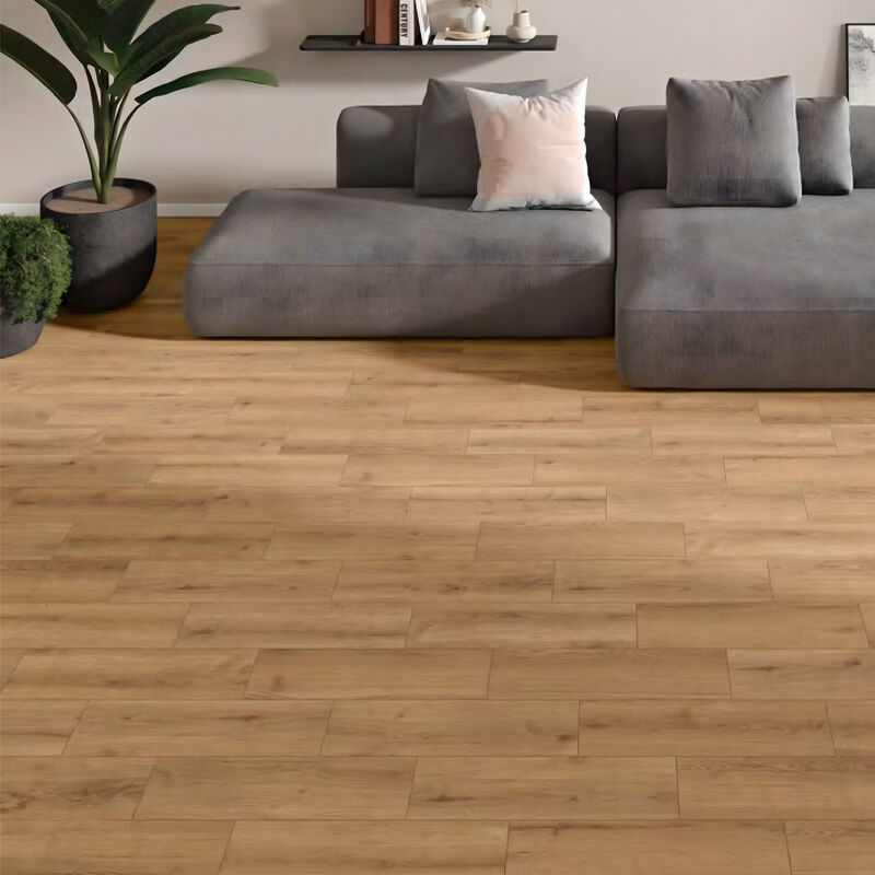 SEMIGRES ESMALTADO CONCORDE NATURAL MATE 20.5X61.50 CM