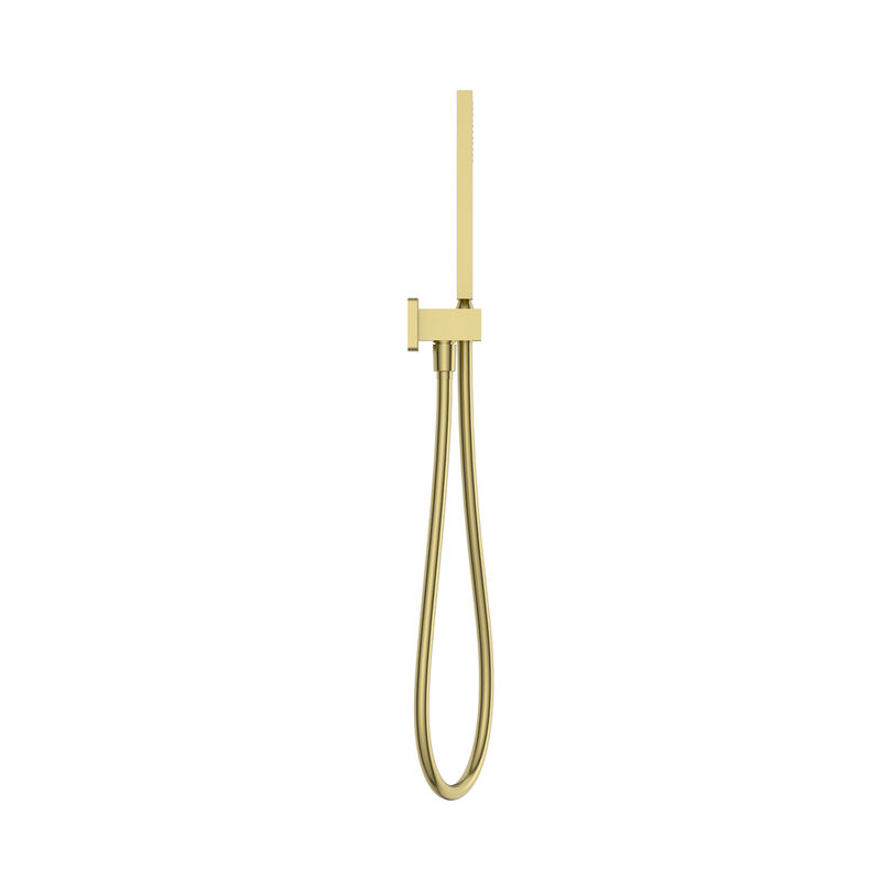 SET DE TELEDUCHA PISCIS GOLD 11.6 LPM