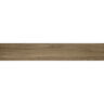 PORCELANATO ESMALTADO ARAUCARIA ESCURA TOUCH MATE 19.85X119.85 CM