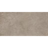 PORCELANATO ESMALTADO NATURALIA TAUPE MATE 60X120 CM