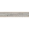 PORCELANATO ESMALTADO CONCORDE GRIS MATE 22.70X119.5 CM