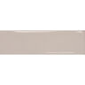 CERÁMICO ESMALTADO VIVANT BRUT BRILLO 6.98X24.54 CM