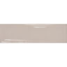 CERÁMICO ESMALTADO VIVANT BRUT BRILLO 6.98X24.54 CM