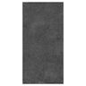 PORCELANATO ESMALTADO ORBIT GRAFITO MATE 60X120 CM