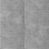 GRES PORCELÁNICO ESMALTADO ORBIT GREY LINE MATE 30X60 CM