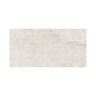 GRES PORCELÁNICO ESMALTADO FONTANA SILVER MATE 60X120 CM