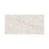GRES PORCELÁNICO ESMALTADO FONTANA SILVER MATE 60X120 CM