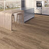 PORCELANATO ESMALTADO ROMANA NATURE MATE 60X120 CM
