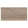 PORCELANATO ESMALTADO ROMANA NATURE MATE 60X120 CM