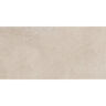 PORCELANATO ESMALTADO DIJON COUCHES MATE 59.8X119.80 CM