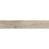 PORCELANATO ESMALTADO IKON ALMOND MATE 20X120 CM