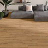 SEMIGRES ESMALTADO CONCORDE NATURAL MATE 20.5X61.50 CM