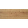 SEMIGRES ESMALTADO CONCORDE NATURAL MATE 20.5X61.50 CM