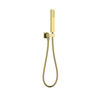 SET DE TELEDUCHA PISCIS GOLD 11.6 LPM