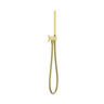 SET DE TELEDUCHA PISCIS GOLD 11.6 LPM