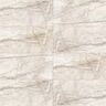 PORCELANATO NO ESMALTADO MYSTONE SILVER ROOT BEIGE MATE 60X120 CM